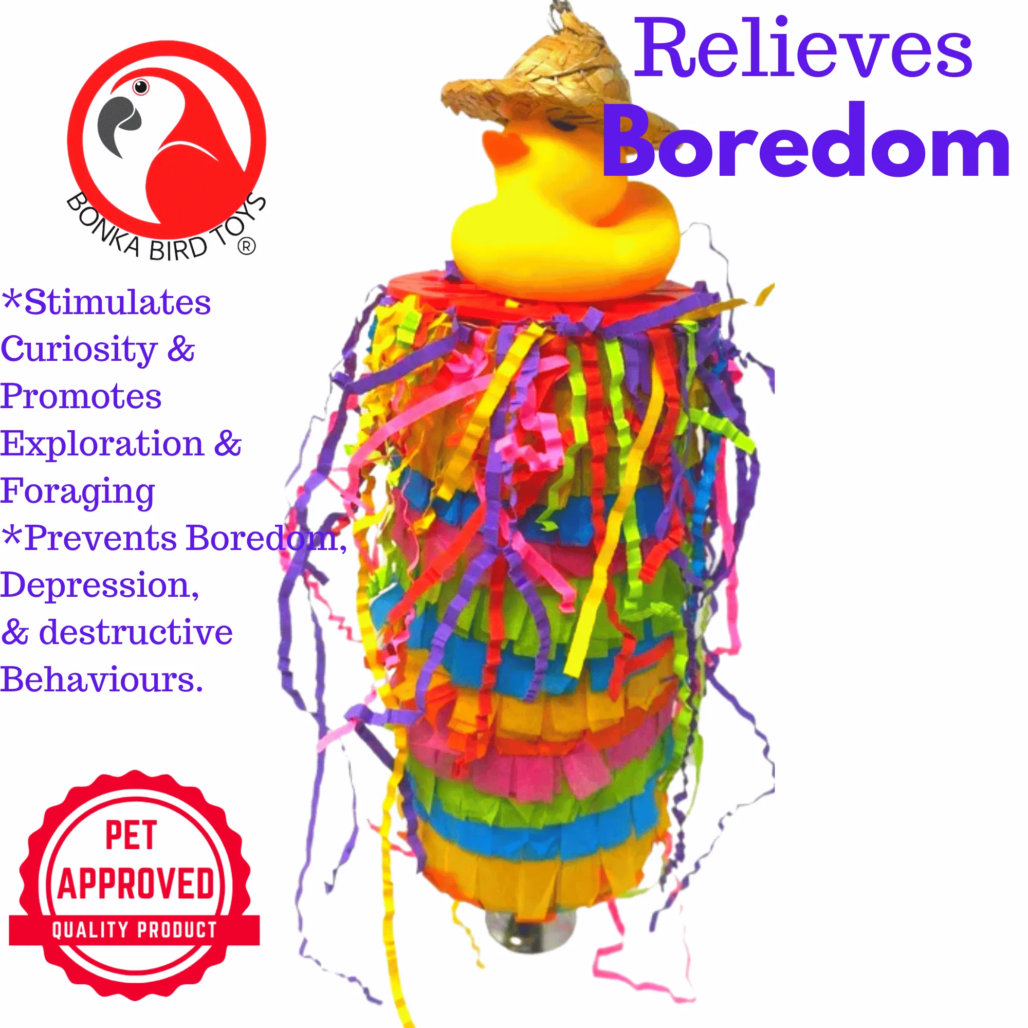 2215 Duck Pinata