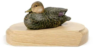 American Black Duck sculpture with Lowered Head on a Base