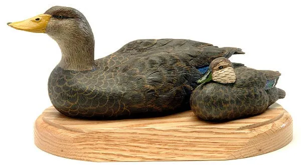 American Black Ducks on a Base