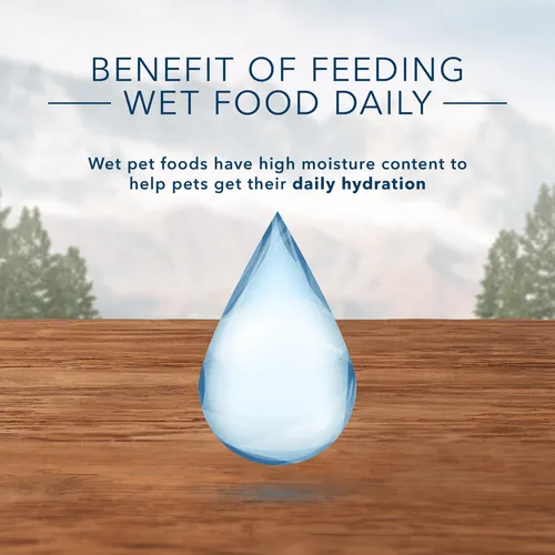 BLUE Wilderness Grain Free Duck Recipe Canned Cat Food