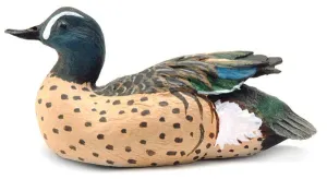 Blue-winged Teal