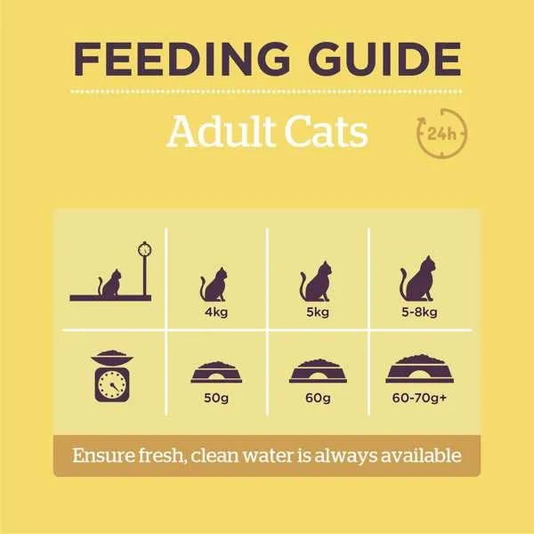Burgess Adult Cat Chicken & Duck