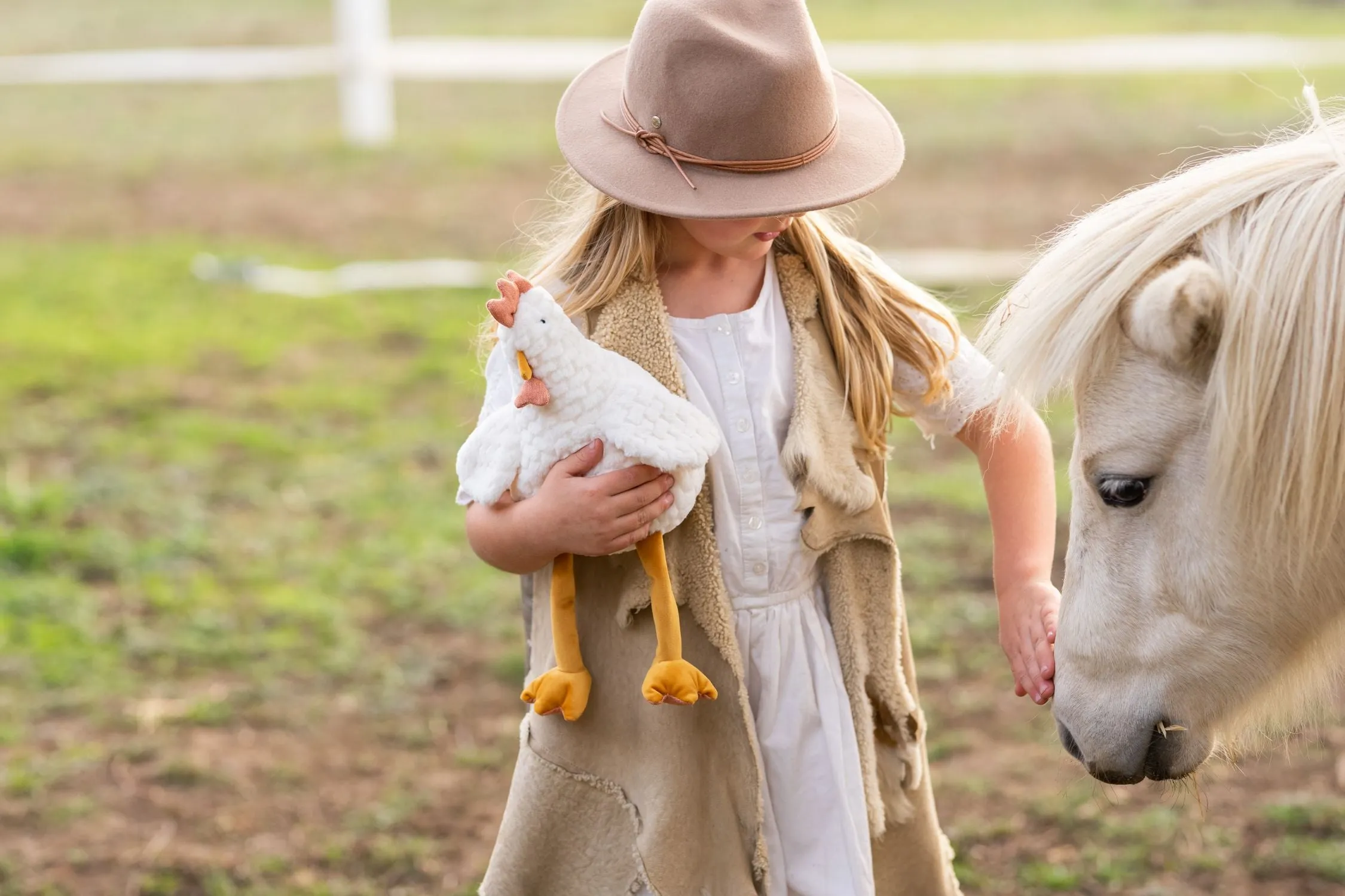 Duck, Duck, Chicken Bundle
