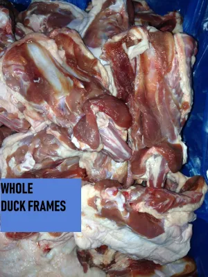 Duck Frames, Whole or Ground