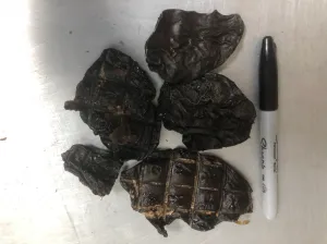DUCK LIVER PET CANDY **Dehydrated Treat**