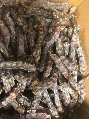 DUCK Neck PET CANDY **Dehydrated Treat**