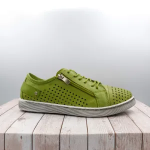 EG17 - Kiwi