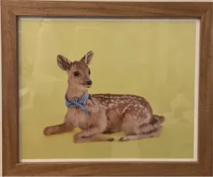 Fawn Print