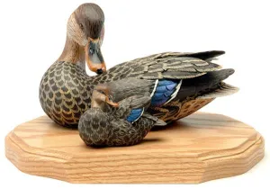 Female Mallards