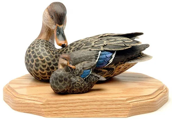 Female Mallards