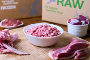 Fresh Duck Raw Cat Food Bulk - Wholesome, Grain-Free Nutrition – CDK9 Raw