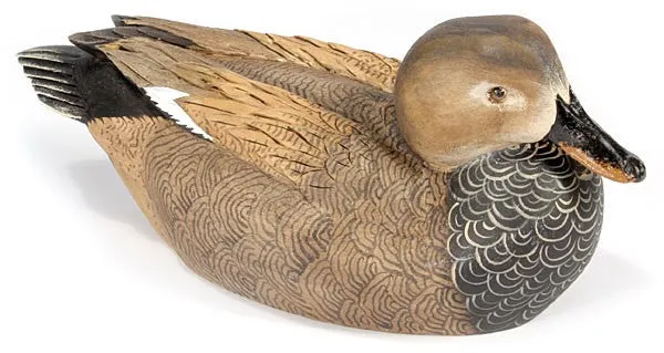 Gadwall
