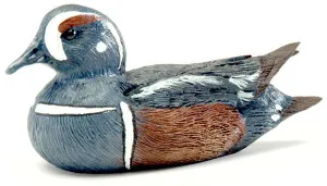 Harlequin Duck