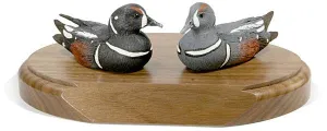 Harlequin Ducks on a Base