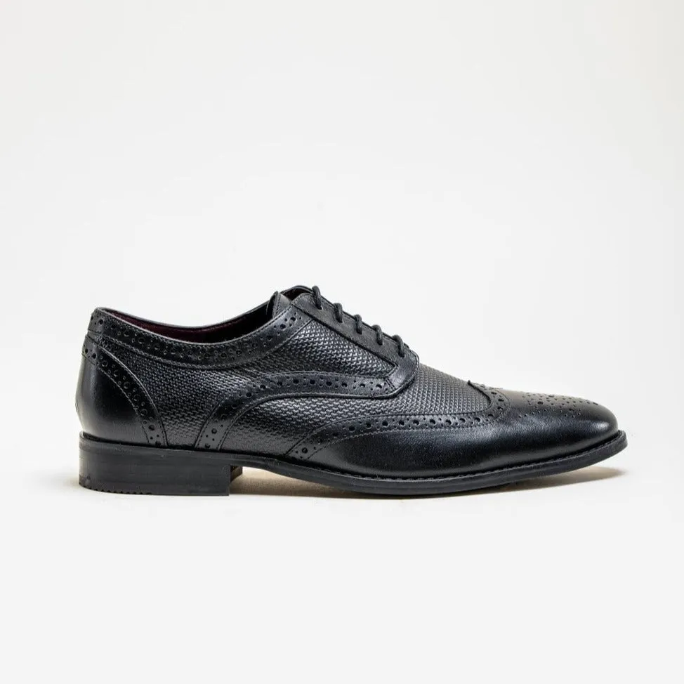 HOUSE OF CAVANI Orleans Brogue Shoe - BLACK