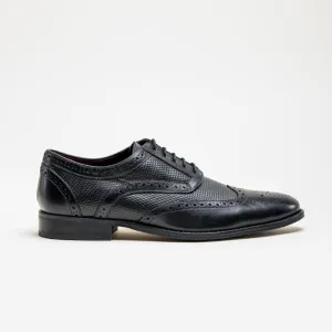 HOUSE OF CAVANI Orleans Brogue Shoe - BLACK