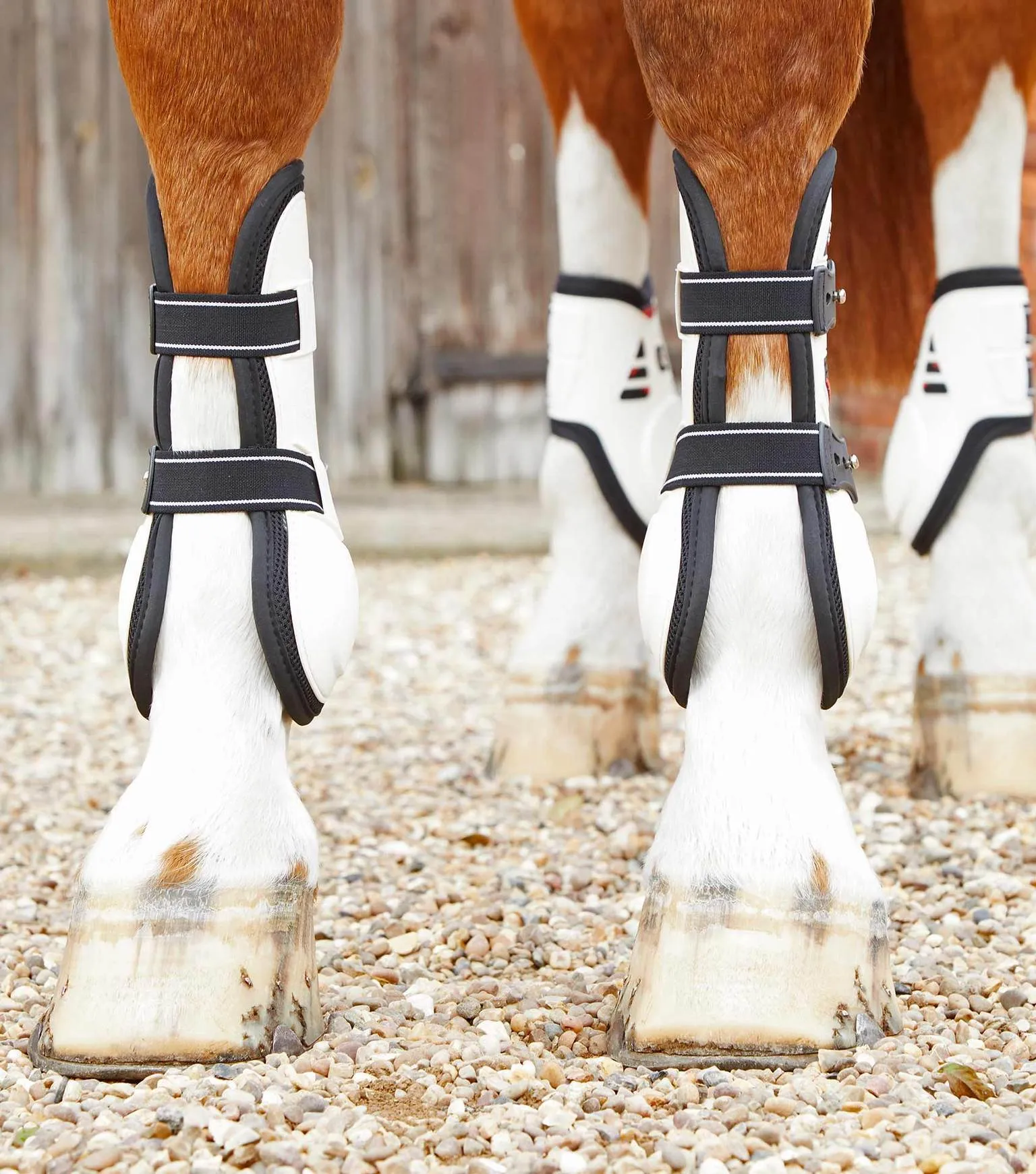 Kevlar Air Technology Tendon Support Boots For Horses