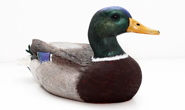 Mallard Drake sculpture