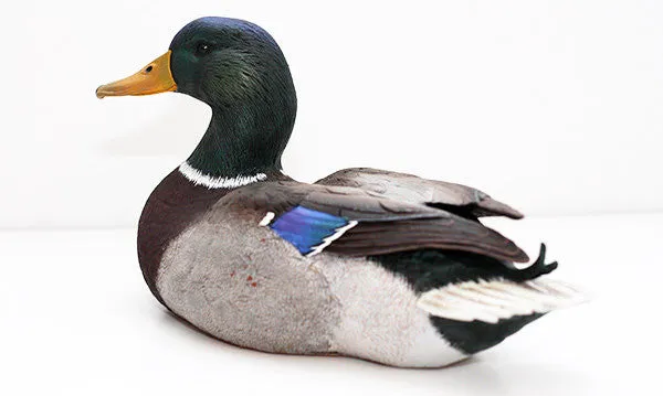 Mallard Drake sculpture