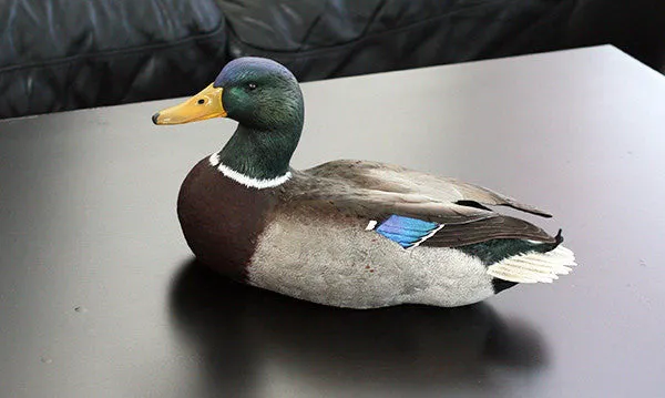 Mallard Drake sculpture