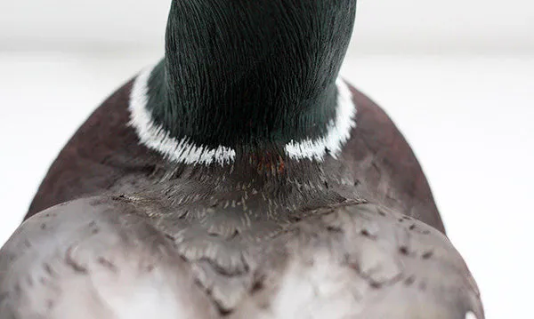 Mallard Drake sculpture
