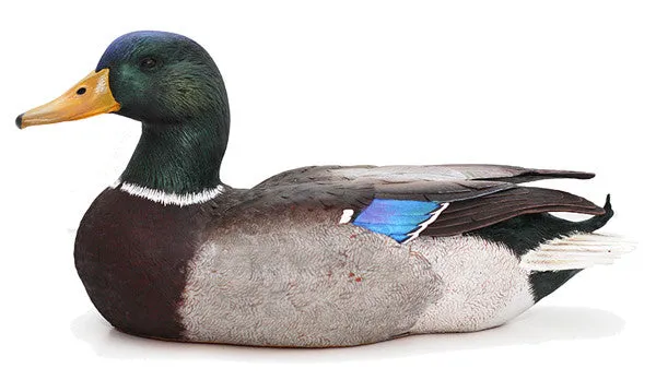 Mallard Drake sculpture