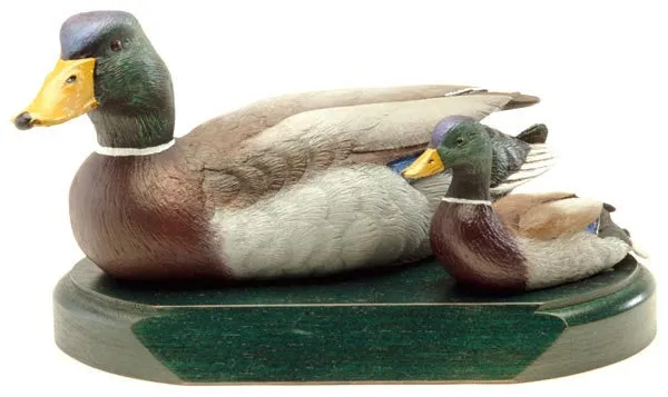 Mallard Drakes