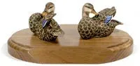 Mallard Ducks with Opened Wings on a Base