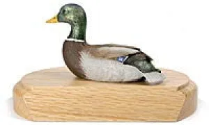 Mallard on a Base