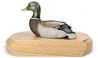 Mallard on a Base