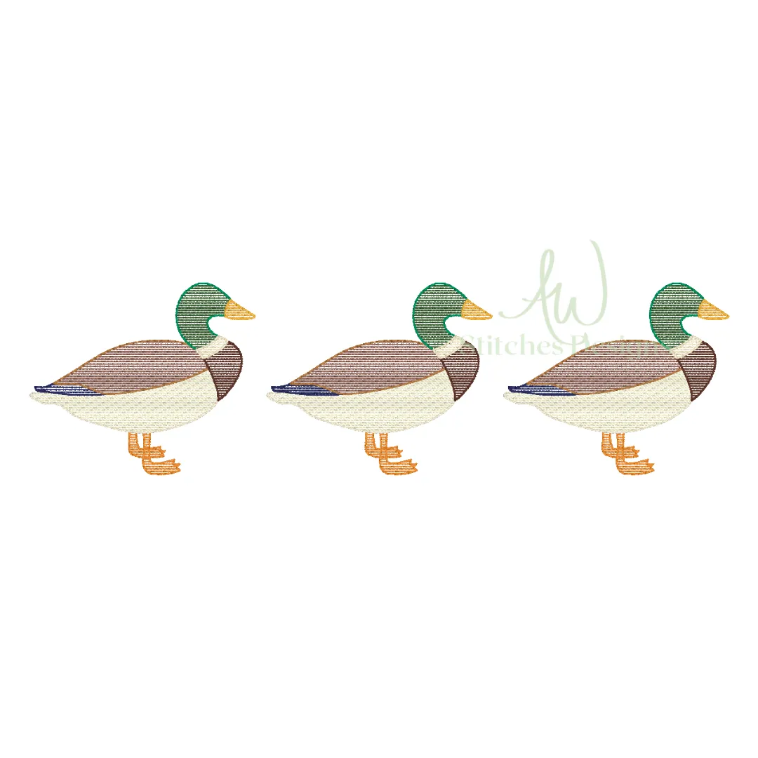 Mallard Sketch Trio