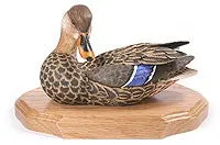 Mallard with Tilted Head on a Base