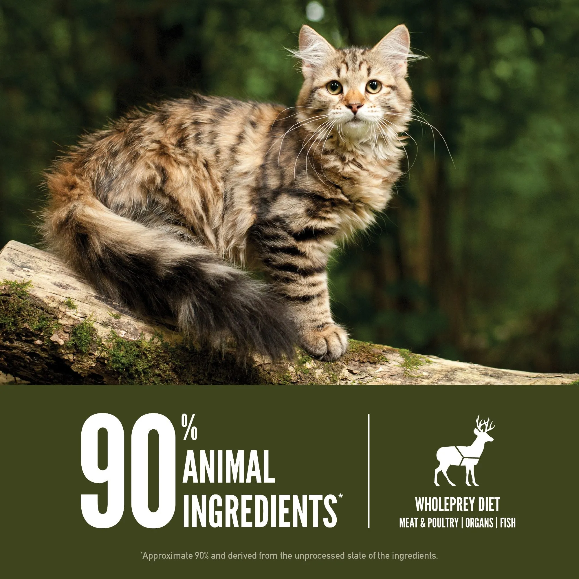 ORIJEN Tundra Biologically Appropriate Dry Cat Food 1.8kg