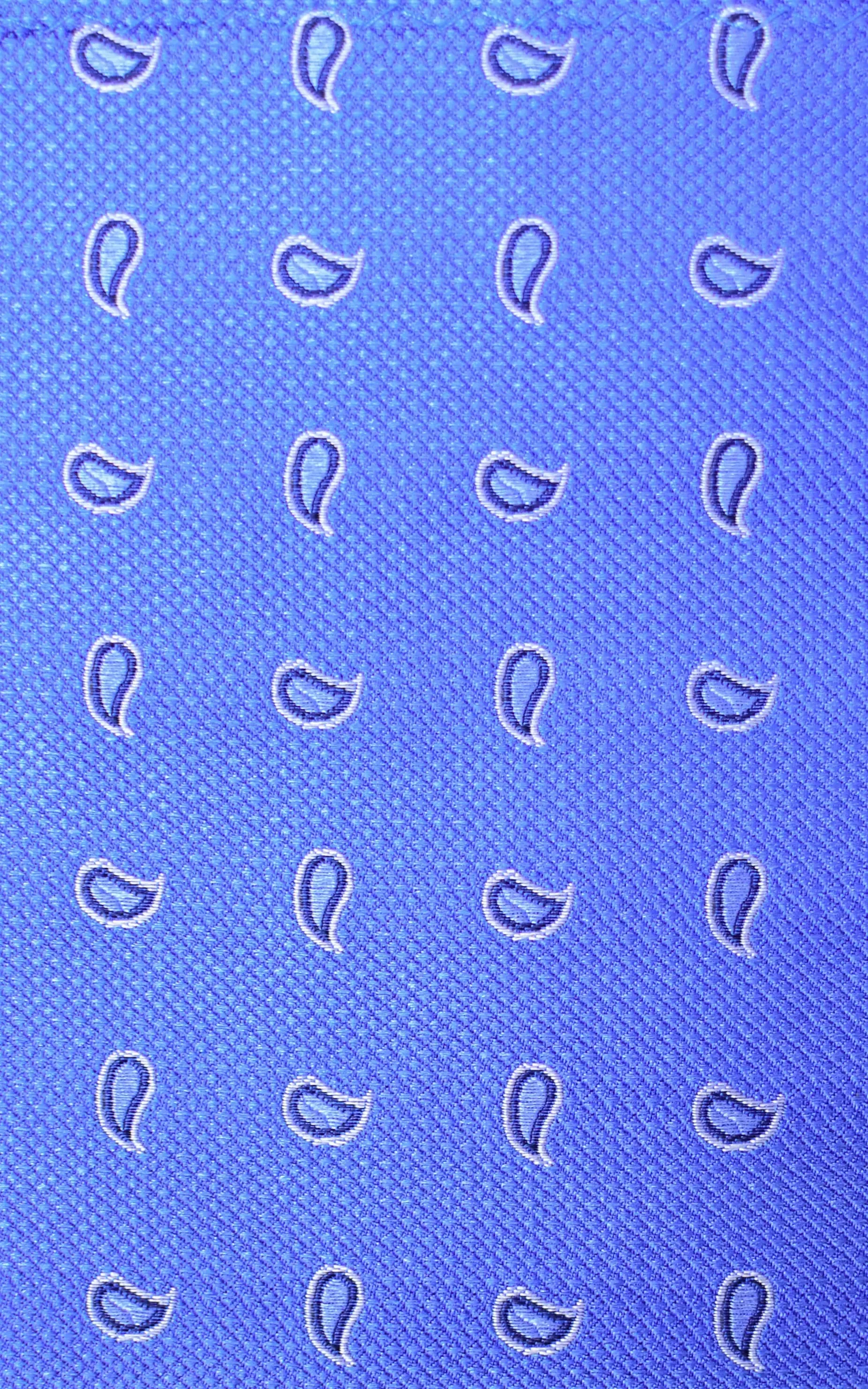 Paisley Silk Tie - Blue