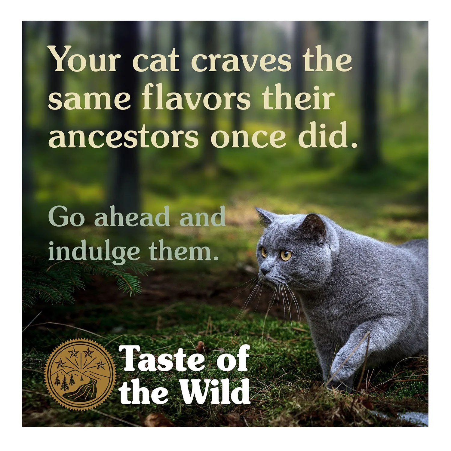 Taste of the Wild Grain Free Lowland Creek Adult Dry Cat Food