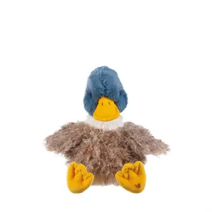 Webster Junior Character