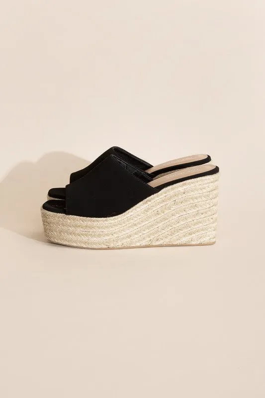 Webster Wedge