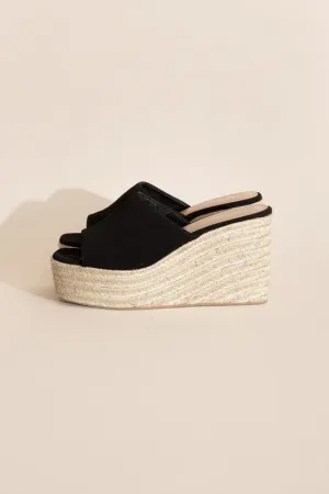 Webster Wedge