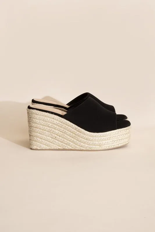 Webster Wedge