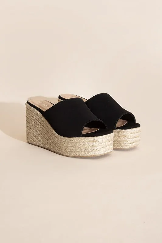 Webster Wedge