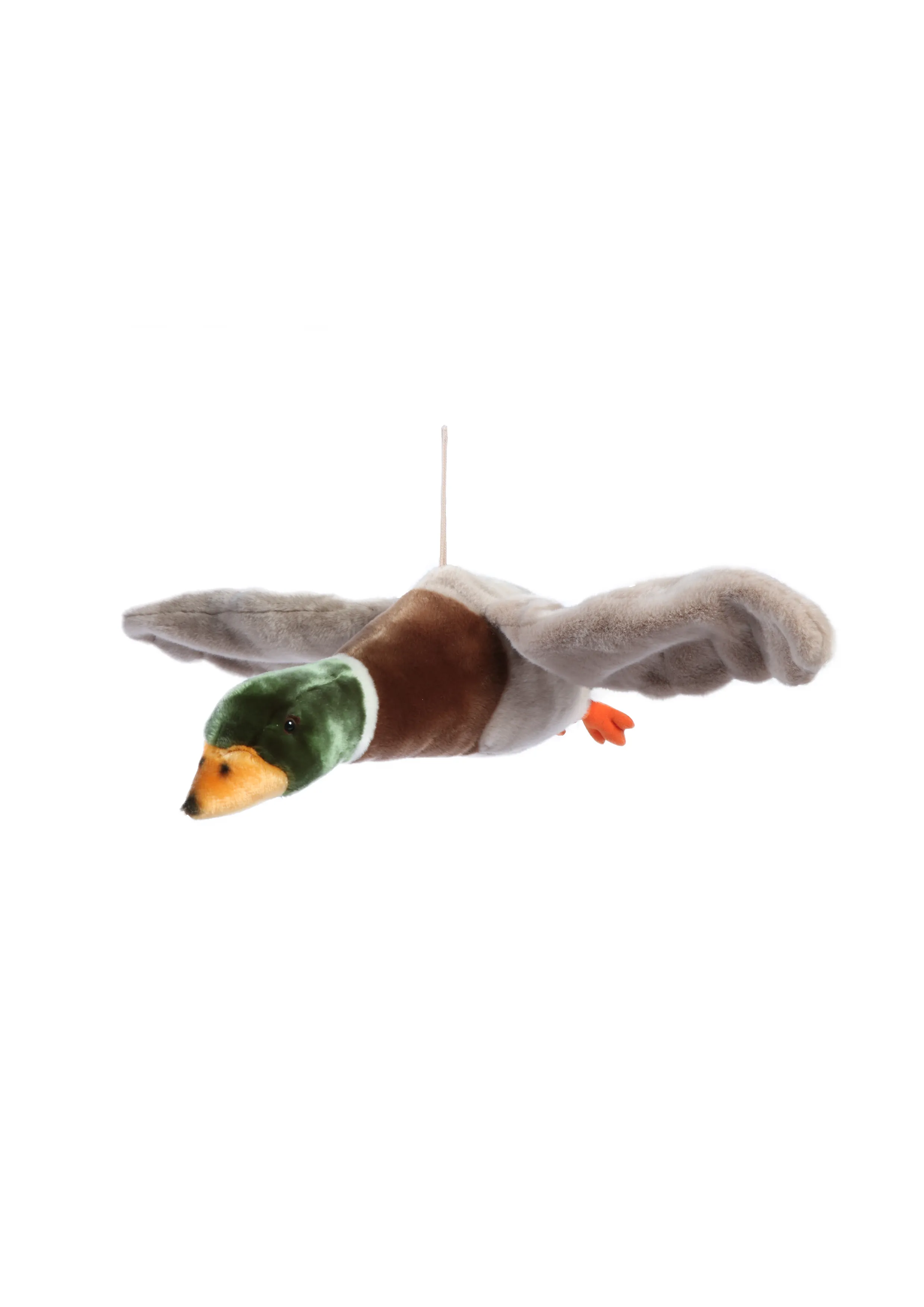 WILD & SOFT Alain, der mutige Fliegender Freund: Dein charmantes Abenteuer 🌟🦆