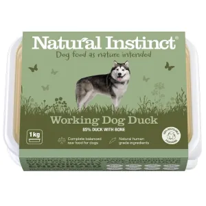 Working Dog Duck
