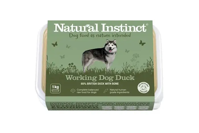 Working Dog Duck