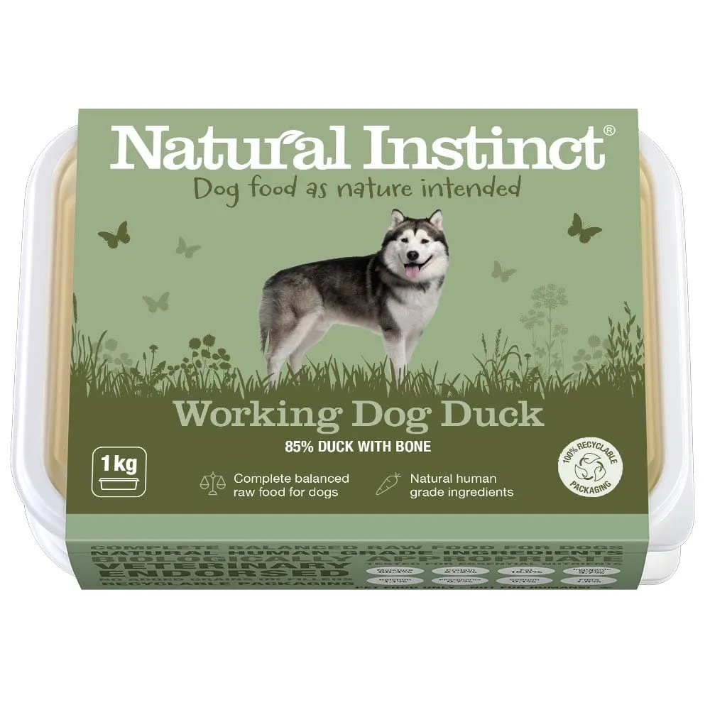 Working Dog Duck