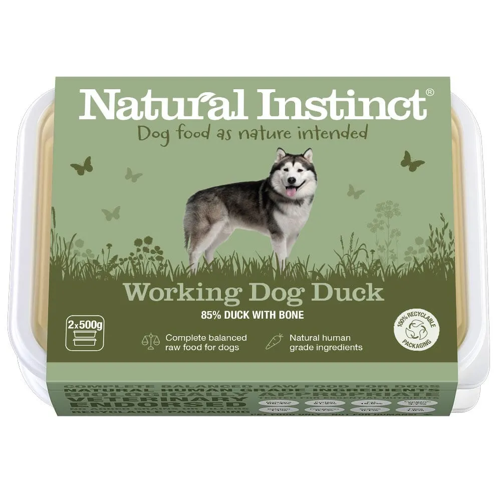 Working Dog Duck